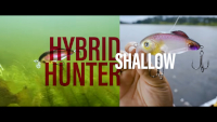 Strike King Hybrid Hunter Shallow Crankbait Video