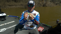 Strike King Thunder Cricket Vibrating Swim Jig Video