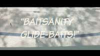 Baitsanity Antidote Glide Bait Video