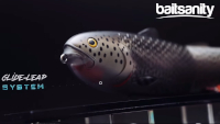 Baitsanity Antidote TUG Glide Bait Video