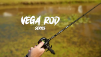 Vega Series Casting Rods