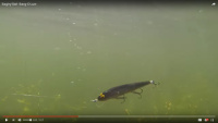 Bang-O-Lure