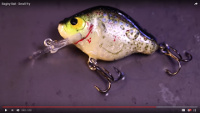 Small Fry 1