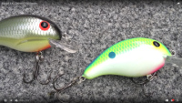 Bandit Lures 100 Series Crankbaits Video