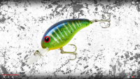 200 Series Crankbaits