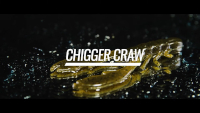 Berkley PowerBait Chigger Craw Video