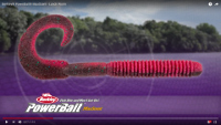 Berkley PowerBait MaxScent Lunch Worm Video