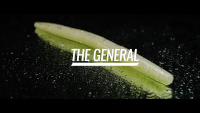 Berkley PowerBait The General Video