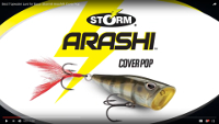 Storm Arashi Cover Pop Video