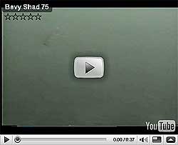 Bevyshad Series