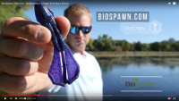 BioSpawn VileCraw Video