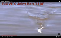 Biovex Joint Bait 110 SF Swimbait Video