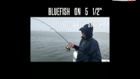 Fat Cow Fishing Jig Strips Eel Tail Video