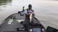 Optimum Boom Boom Rigged Swimbait Video