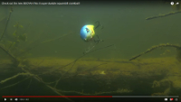 Flex II Squarebill Crankbait