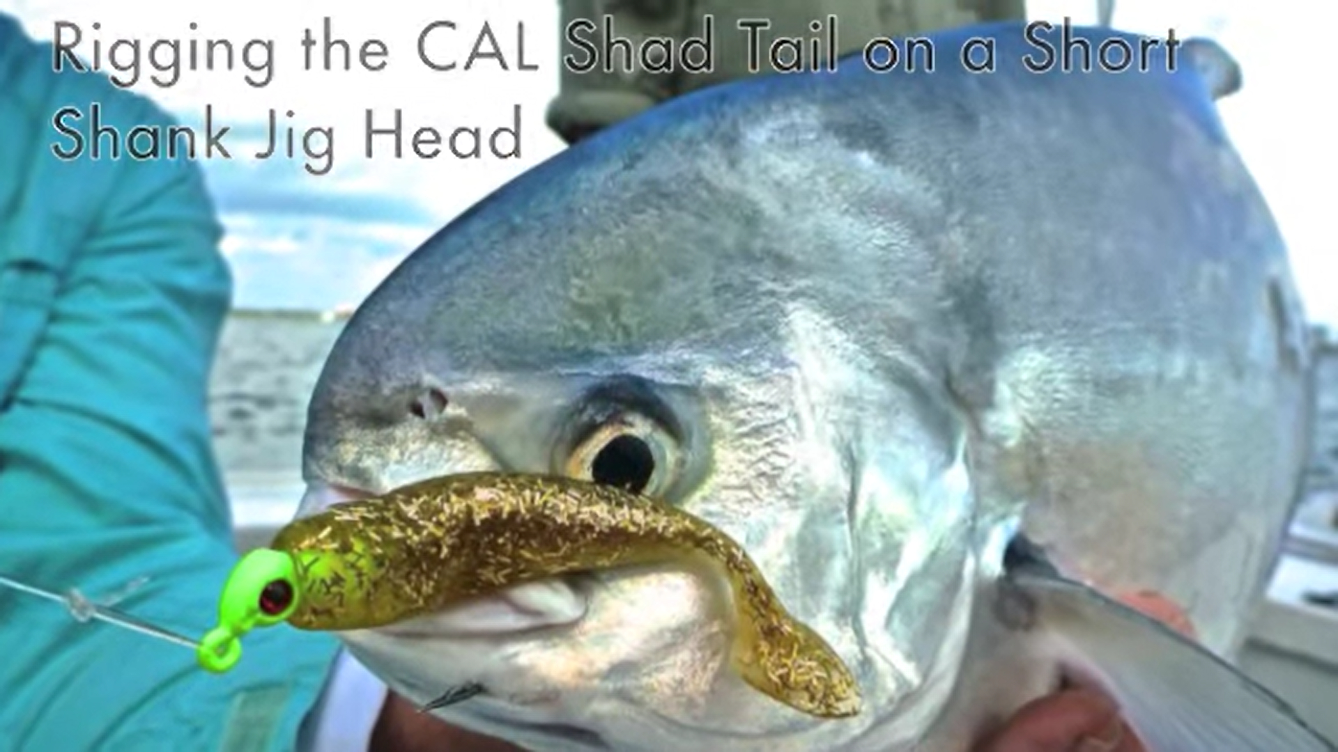 C.A.L. 3-inch Shad Tail