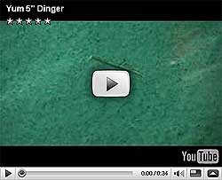 YUM Dinger Video