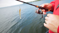 NetBait BaitFuel STH Finesse Series The Drifter Video