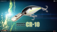 Evergreen CR-10 Crankbait Video