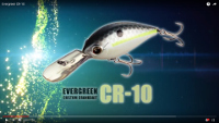 CR-10 Crankbait