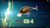 CR-4 Crankbait