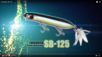 Evergreen SB-125 Topwater Plug Video