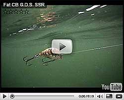 Fat CB GDS Mini Series