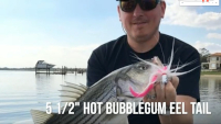 Fat Cow Fishing Jig Strips Eel Tail Video