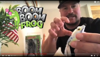 Stanford Baits Boom Boom Frog Video