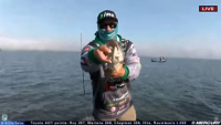 Optimum Boom Boom Weedless Swimbait Video