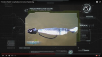 Hydra Live Action Hybrid Swim Jighead