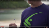 Fish Head V-Lock Swimbait Jighead Video