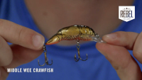 Rebel Middle Wee Crawfish Video