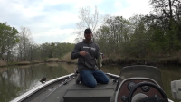 BOOYAH Mobster Swim Jig Video