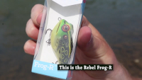 Rebel Frog-R Video