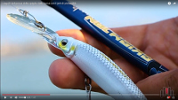 Jerk 95 DR