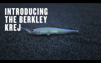 Berkley Krej Video