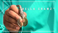Hella CrawZ