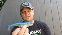 Big Joshy Swimbaits J5 Premium Baitfish  Video