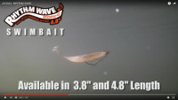 Jackall Rhythm Wave Swimbait Video