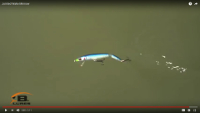Bomber Jointed Wake Minnow Video