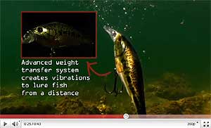 Largemouth Bass