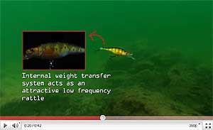 Yellow Perch Crankbait