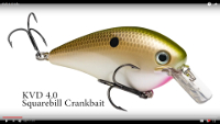 Strike King KVD Magnum Squarebill Pro-Model Crankbaits Video