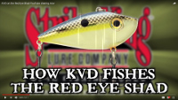 Red Eyed Shad Lipless Crankbait