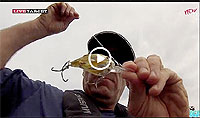 Yearling BaitBall Crankbait