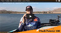 Flash Pointer 100