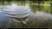 Lunkerhunt Prop Fish Shad Video