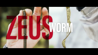 Zeus Worm