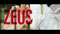 Strike King KVD Perfect Plastics Zeus Worm Video